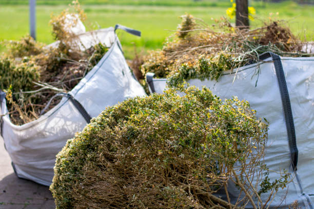 Best Office Junk Removal  in Monticello, FL